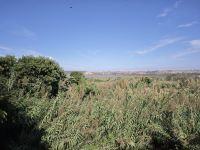 Ruinenensemble von Chellah