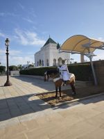 Mausoleum der verstorbenen Könige Mohammed V. und Hassan II.