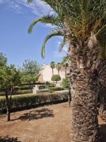 Stadtrundgang in Meknes