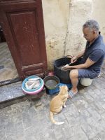 Spaziergang durch die Medina von Fes