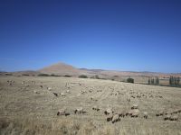 Fahrt Richtung Atlas Gebirge