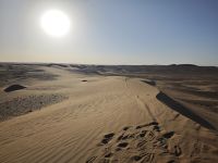 Jeeptour und Dromedareiten in der Wüste