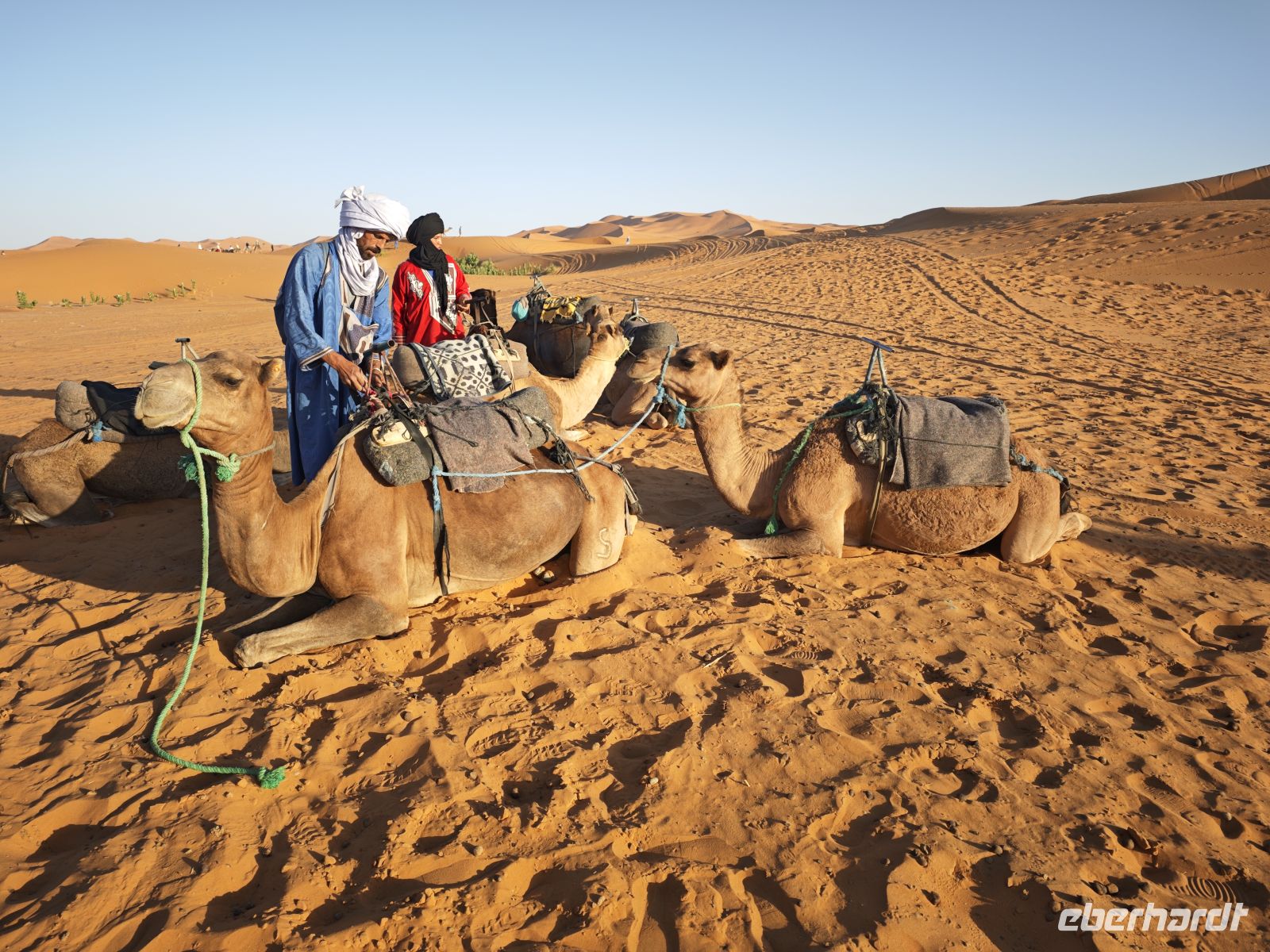 Jeeptour und Dromedareiten in der Wüste