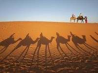 Jeeptour und Dromedareiten in der Wüste