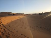 Jeeptour und Dromedareiten in der Wüste