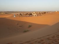 Jeeptour und Dromedareiten in der Wüste
