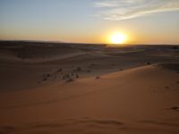 Jeeptour und Dromedareiten in der Wüste