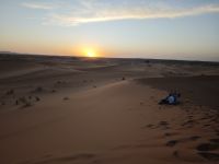 Jeeptour und Dromedareiten in der Wüste