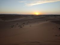 Jeeptour und Dromedareiten in der Wüste