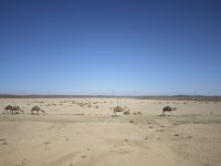 Weiterfahrt Richtung Tinghir