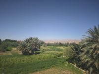 Spaziergang in einer Palmerie in Tinghir