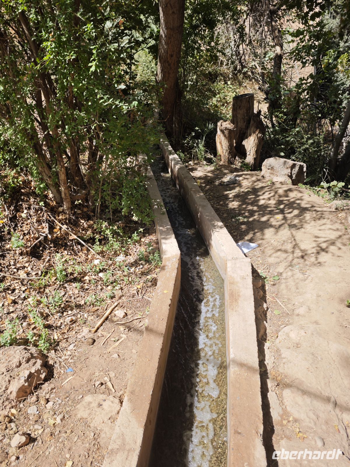 Spaziergang in einer Palmerie in Tinghir