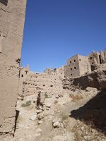 Spaziergang in einer Palmerie in Tinghir