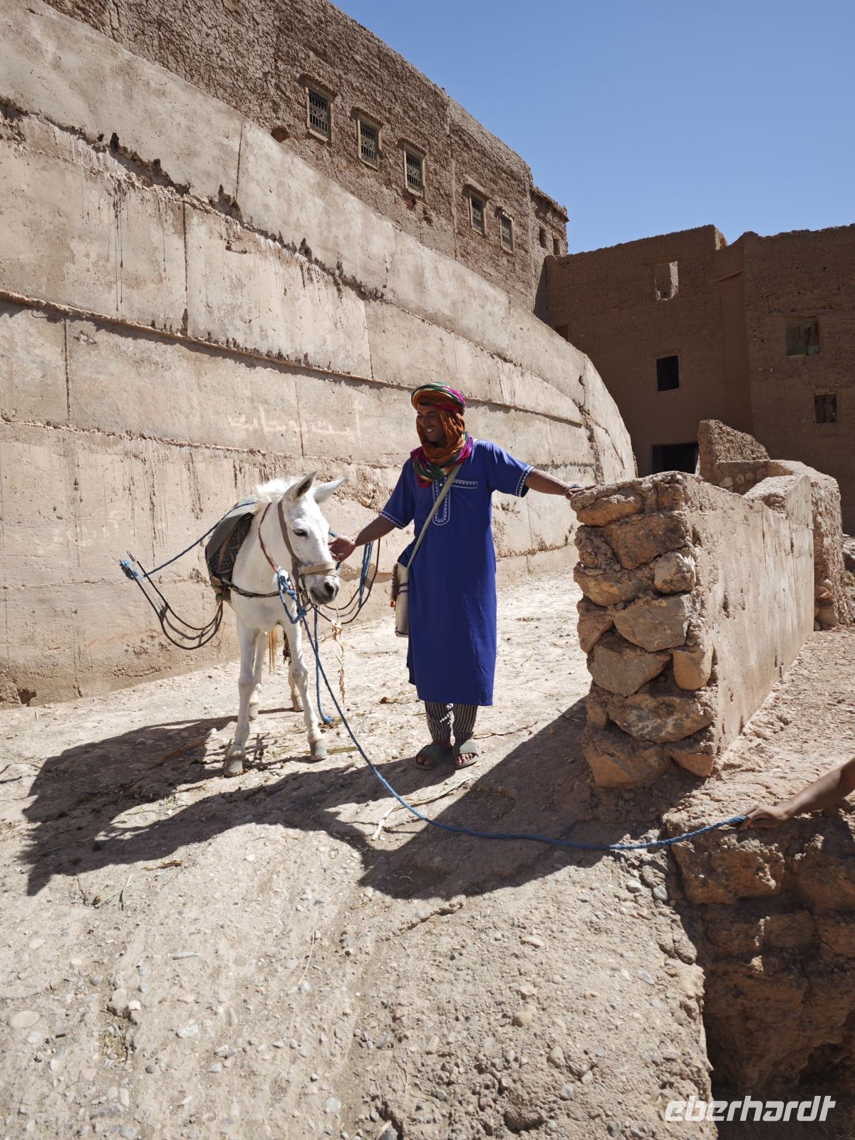 Spaziergang in einer Palmerie in Tinghir