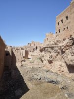 Spaziergang in einer Palmerie in Tinghir