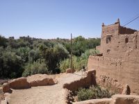 Spaziergang in einer Palmerie in Tinghir