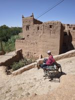 Spaziergang in einer Palmerie in Tinghir