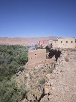 Spaziergang in einer Palmerie in Tinghir