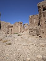 Spaziergang in einer Palmerie in Tinghir