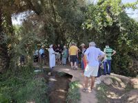 Spaziergang in einer Palmerie in Tinghir