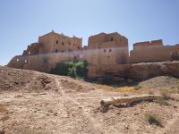 Spaziergang in einer Palmerie in Tinghir