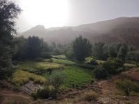 Spaziergang in einer Oase