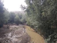 Spaziergang in einer Oase