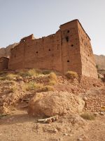 Spaziergang in einer Oase