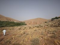 Spaziergang in einer Oase