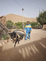 Spaziergang in einer Oase