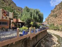 Arganöl Cooperative