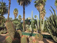 Jardin Majorell in Marrakesch
