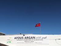 9) Argan-Initiative auf dem Weg nach Essaouira, Marokko