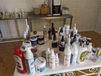 14) Argan-Initiative auf dem Weg nach Essaouira, Marokko