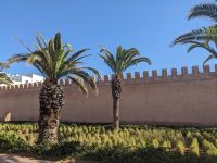 20) Stadtspaziergang Essaouira, Marokko