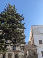 22) Stadtspaziergang Essaouira, Marokko