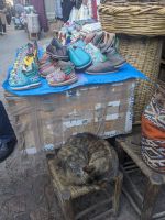 24) Stadtspaziergang Essaouira, Marokko