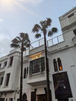 48) Rick`s Café Weihnachtsabendessen, Casablanca, Marokko