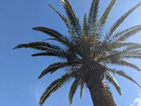 76) Mittagspause am Hafen von Rabat, Marokko