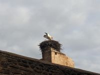 95) Festungsanlagen von Chellah in Rabat, Marokko