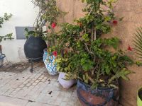 103) Festungsanlage von Oudaya in Rabat, Marokko