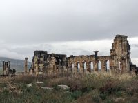 111) Volubilis, Marokko
