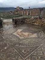 116) Volubilis, Marokko