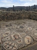 118) Volubilis, Marokko