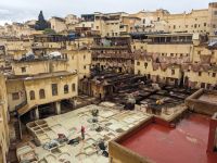 152) Gerberei von Fèz, Marokko