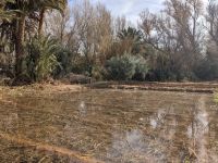 204) Oase von Tinghir, Marokko