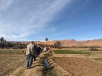 205) Oase von Tinghir, Marokko