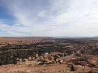 207) Oase von Tinghir, Marokko