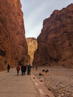 211) Todra-Schlucht, Marokko