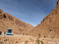 213) Todra-Schlucht, Marokko